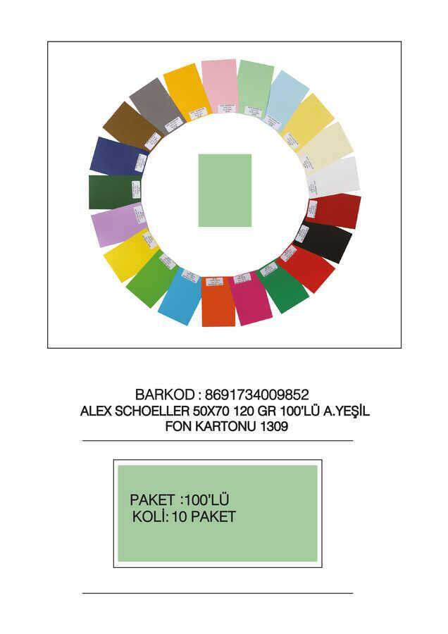 Alex Schoeller Kolej Fon Kartonu 1309/190 Yeşil 50 x 70 100'lü 120 Gr