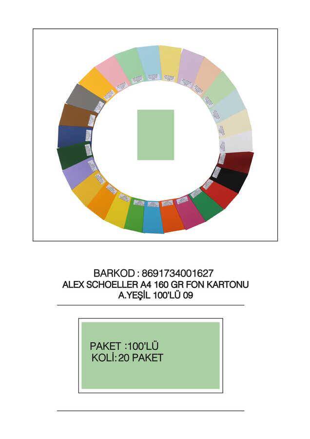 Alex Schoeller Kolej Fon Kartonu A4 No:09 Yeşil 100'lü