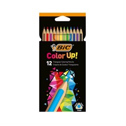 Bic - Bic Color Up Üçgen Kuru Boya 12'li