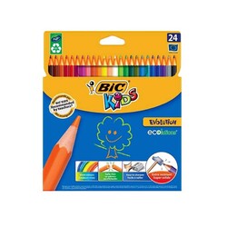 Bic Evolution Kuru Boya 24'lü - Thumbnail