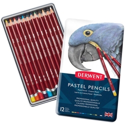 Derwent - Derwent Kuru Boya Pastel Metal Kutu 12'li (1)