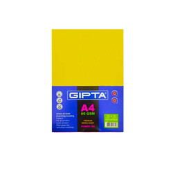 Gıpta - Gıpta 100'lü 10 Renk A4 Renkli Kağıt