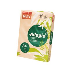 Rey Copy - Rey Adagio Fotokopi Kağıdı A4 80 gr 500'lü Somon (1)