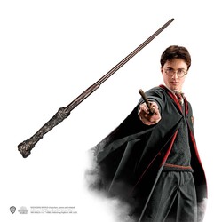 Wizarding World - Wizarding World - Harry Potter Asa - Harry Potter 
