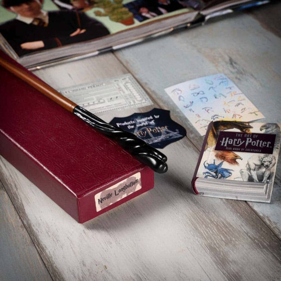 Wizarding World - Harry Potter Asa - Neville Longbottom