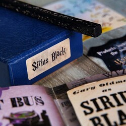 Wizarding World - Wizarding World - Harry Potter Asa - Sirius Black (1)