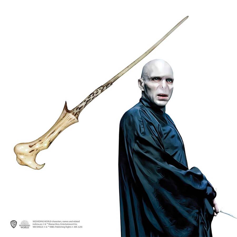 Wizarding World - Harry Potter Asa - Voldemort