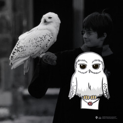 Wizarding World - Harry Potter Pin - Hedwig - Thumbnail