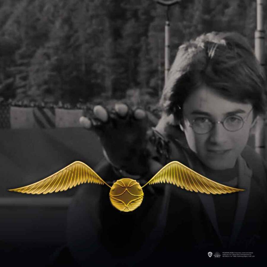 Wizarding World - Harry Potter Pin - Snitch