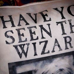 Wizarding World - Harry Potter Yastık - Have You Seen This Wizard - Thumbnail
