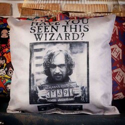 Wizarding World - Wizarding World - Harry Potter Yastık - Have You Seen This Wizard